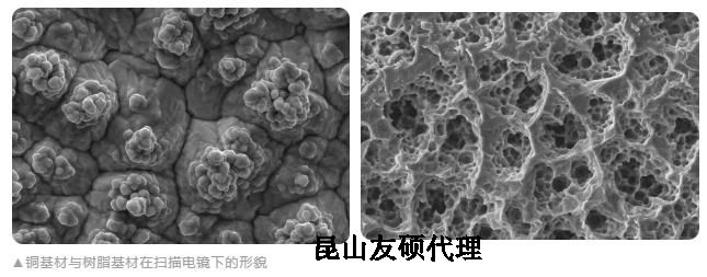 天津蔡司天津扫描电镜